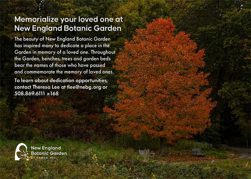 New England Botanical Gardens